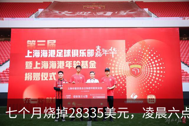 七个月烧掉28335美元，凌晨六点前的工具调用只有0.7%